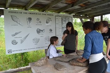 examining the fossils in eganville