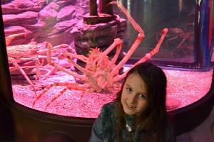 girl in front of pink crab